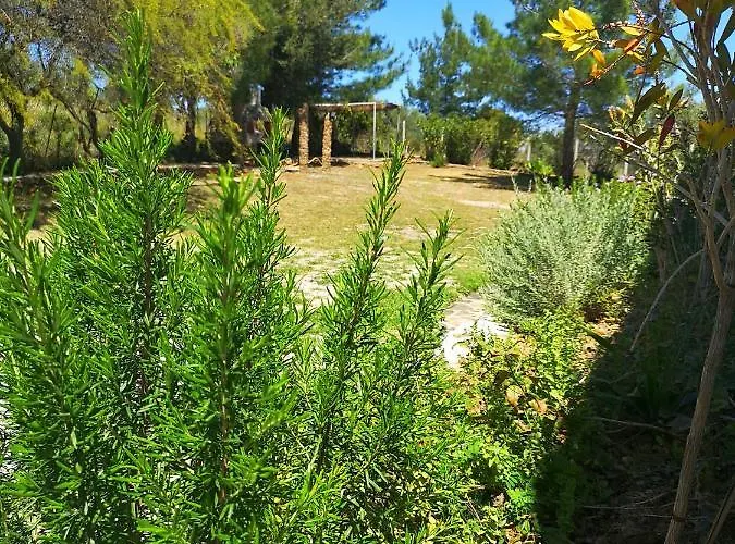 Chrysanthi Villa, Living In Nature Villa Vlicha (Rhodes)