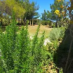 Chrysanthi Villa, Living In Nature Villa Vlicha (Rhodes)