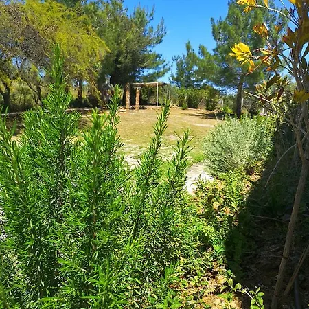 Chrysanthi Villa, Living In Nature Вилла Vlicha (Rhodes)